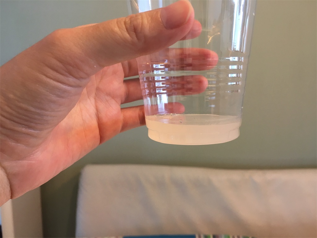 f:id:jacoeri:20180731152750j:image