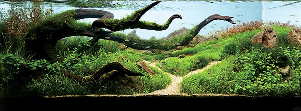 f:id:jacoeri:20180814115028j:image f:id:jacoeri:20180814115028j:image