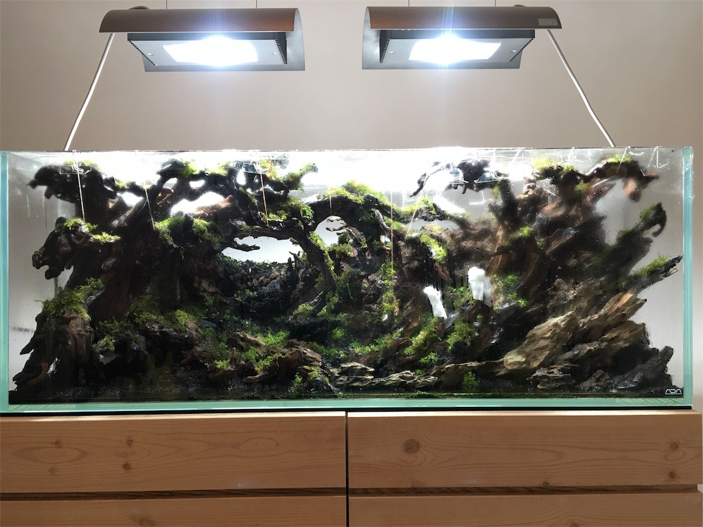 f:id:jacoeri:20181029173508j:image