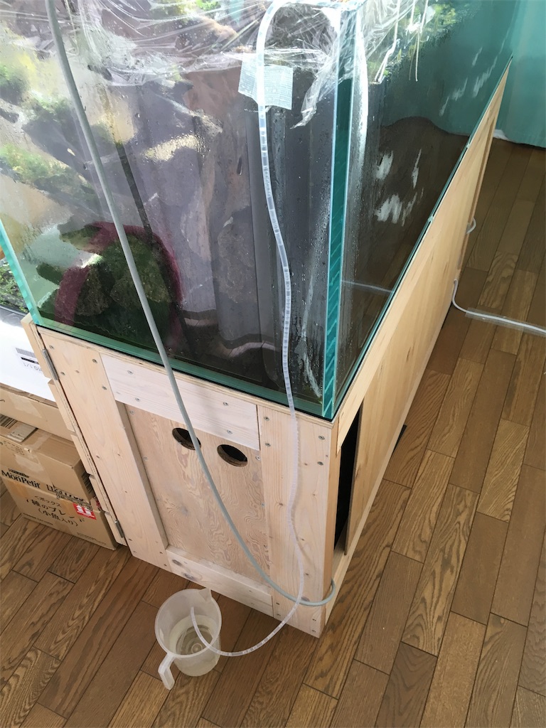 f:id:jacoeri:20181029184252j:image