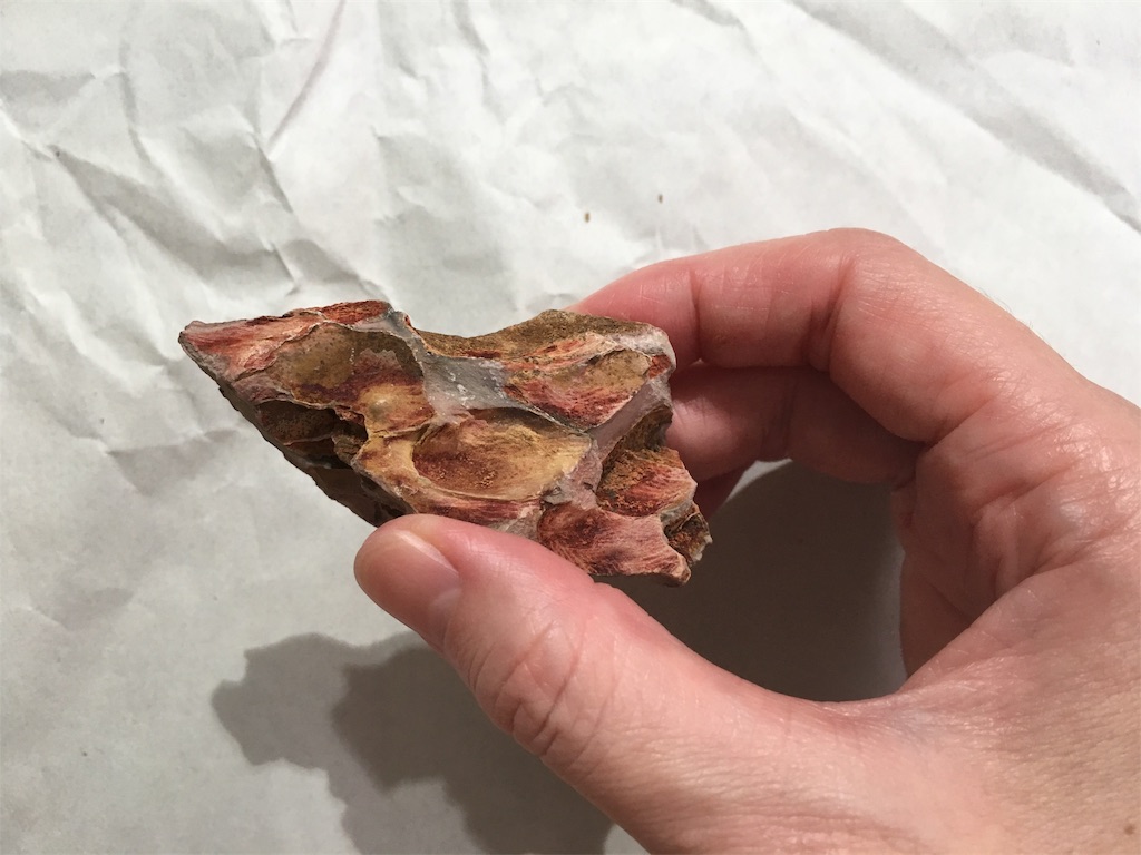 f:id:jacoeri:20181114154754j:image