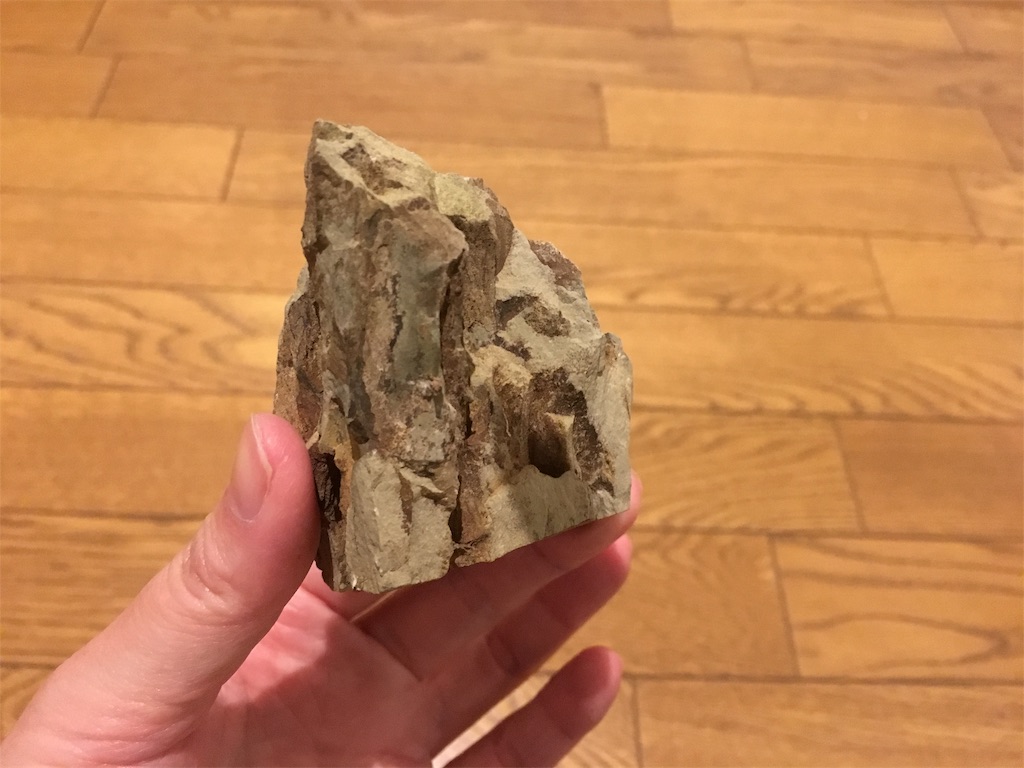 f:id:jacoeri:20181114171021j:image