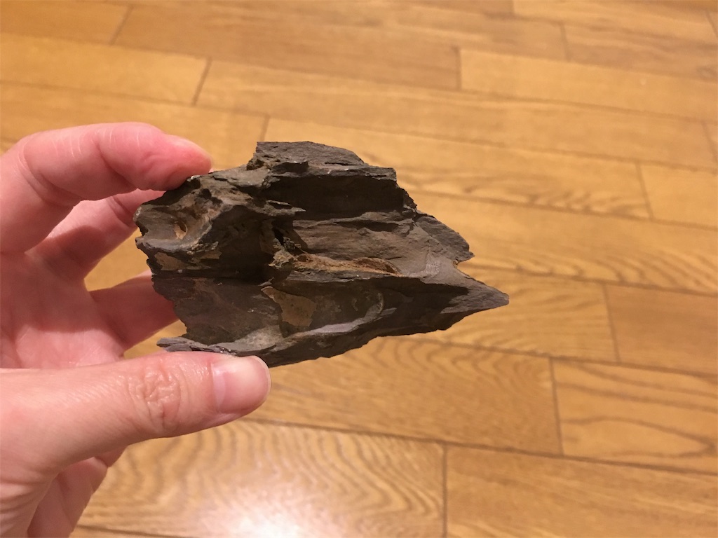 f:id:jacoeri:20181114171038j:image