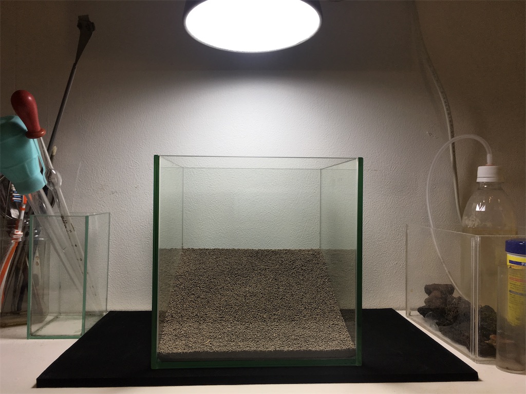 f:id:jacoeri:20181123163544j:image