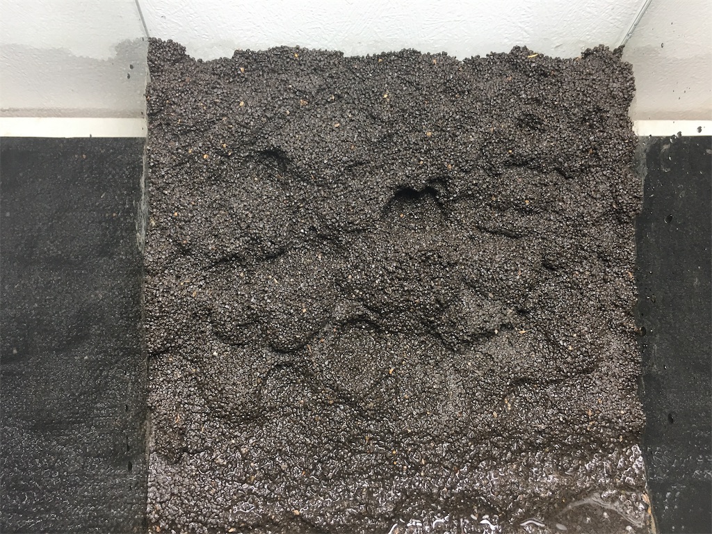 f:id:jacoeri:20181123163913j:image