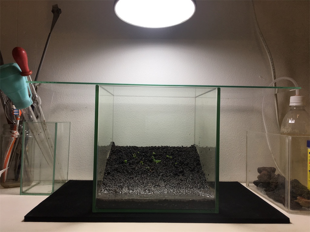 f:id:jacoeri:20181123164146j:image