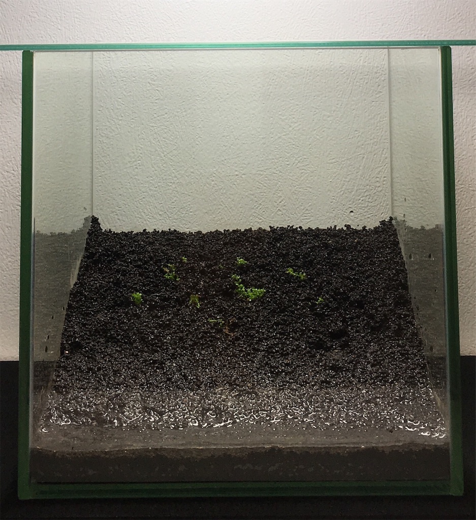 f:id:jacoeri:20181123165316j:image