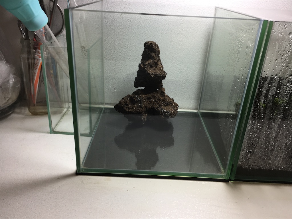 f:id:jacoeri:20181209200114j:image