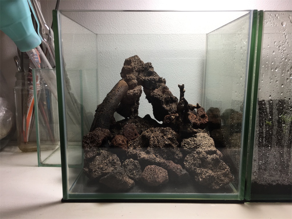 f:id:jacoeri:20181209200131j:image