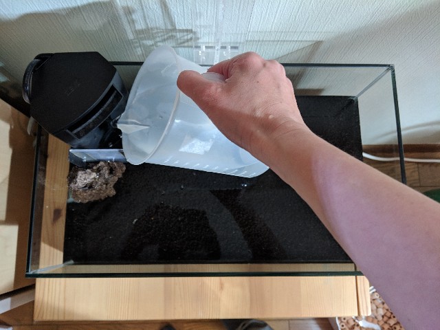 f:id:jacoeri:20190304062739j:plain f:id:jacoeri:20190304062739j:plain