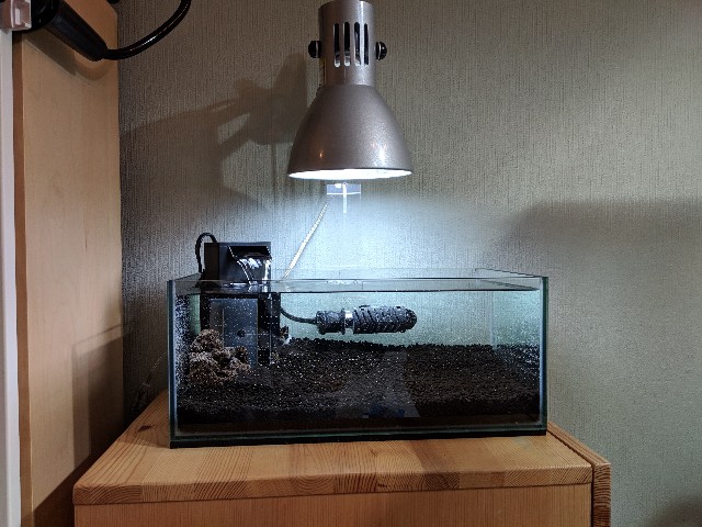 f:id:jacoeri:20190304062843j:plain f:id:jacoeri:20190304062843j:plain