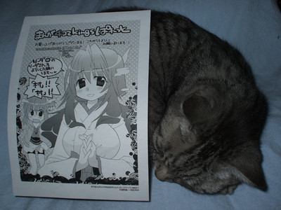 f:id:jagabata:20080223232443j:image f:id:jagabata:20080223232443j:image