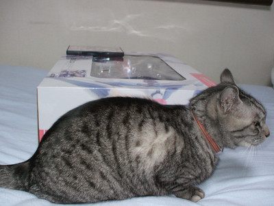 f:id:jagabata:20080328231112j:image