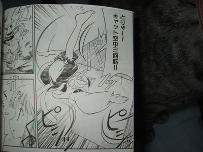 f:id:jagabata:20080520230846j:image f:id:jagabata:20080520230846j:image