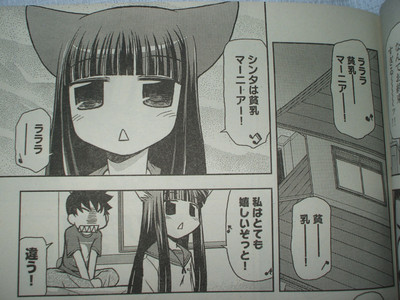 f:id:jagabata:20080719205613j:image