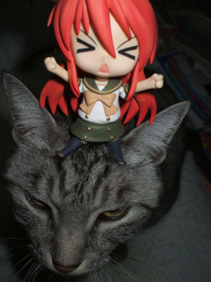 f:id:jagabata:20081111230813j:image f:id:jagabata:20081111230813j:image