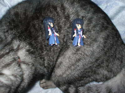 f:id:jagabata:20090125212746j:image