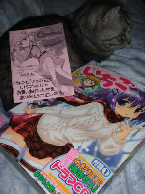 f:id:jagabata:20090206002113j:image f:id:jagabata:20090206002113j:image