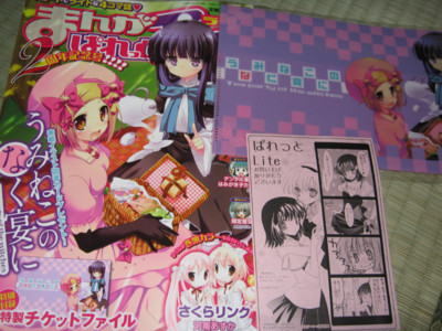 f:id:jagabata:20100303012036j:image