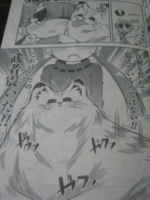 f:id:jagabata:20100710005436j:image f:id:jagabata:20100710005436j:image
