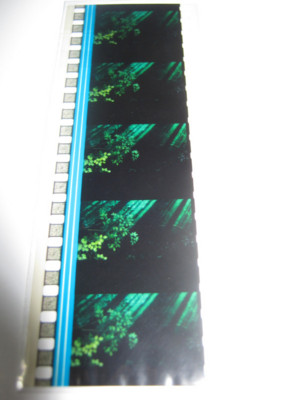 f:id:jagabata:20101008004746j:image