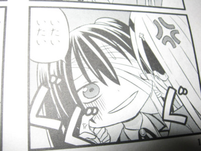 f:id:jagabata:20101229235943j:image