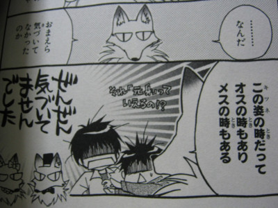 f:id:jagabata:20110405012113j:image