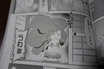 f:id:jagabata:20140726195601j:image f:id:jagabata:20140726195601j:image