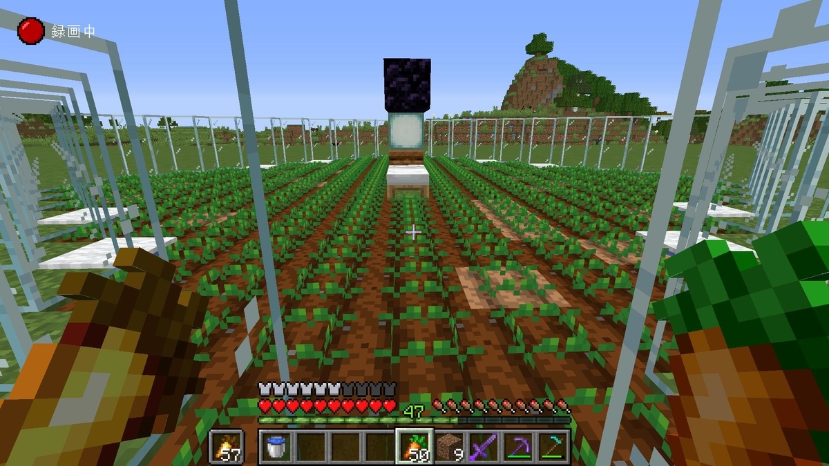 マイクラ1 16 超簡単に作れる全自動村人式農場の作り方 解説 Java 統合版 Minecraft Easy And Auto Villager Crop Farm マインクラフト Je Be 便利装置 農作物収穫機 じゃがいもゲームブログ