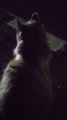 f:id:jagarikodaisuki:20110319205000j:image f:id:jagarikodaisuki:20110319205000j:image