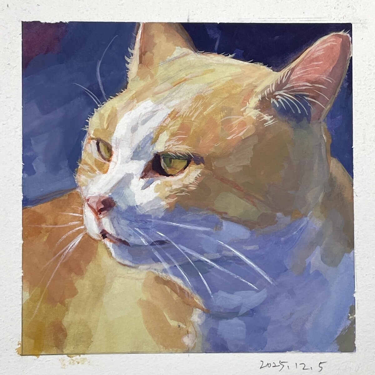 ガッシュで描く 一日一絵 質感テクスチャ『猫の毛並み』ホルベイン
