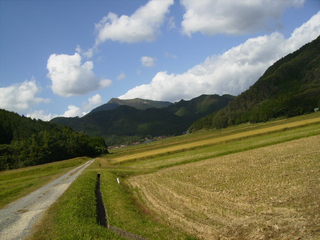 f:id:jaja51:20091009073523j:image
