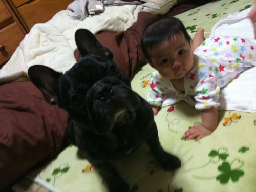 f:id:jaja51:20101006220425j:image