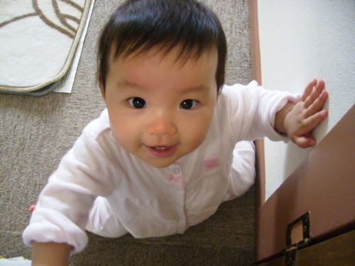 f:id:jaja51:20101021024813j:image