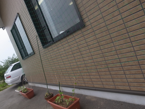 f:id:jaja51:20120611142008j:image