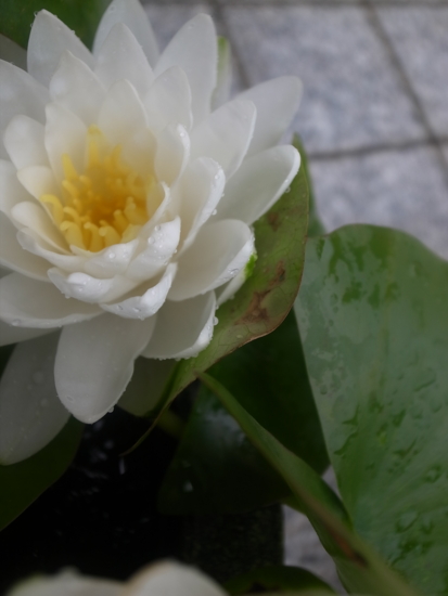 f:id:jaja51:20120630080353j:image