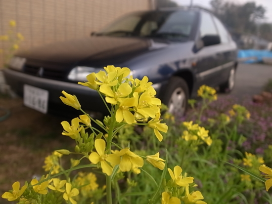f:id:jaja51:20130319082107j:image