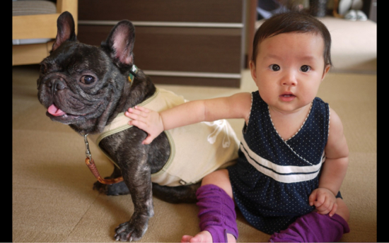 f:id:jaja51:20131207084712j:image