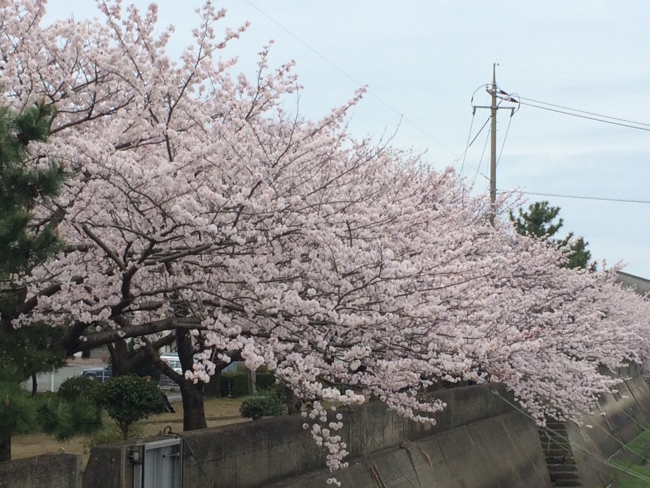 f:id:jaja51:20160403134005j:image