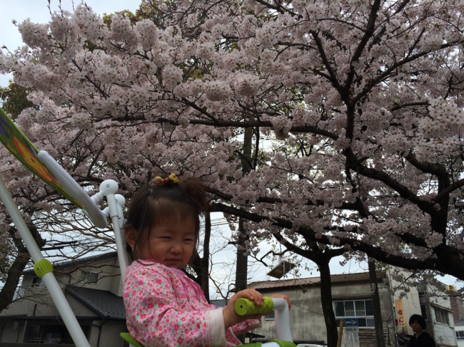 f:id:jaja51:20160403134611j:image