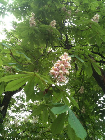 f:id:jaja85ans:20120505121440j:image:left