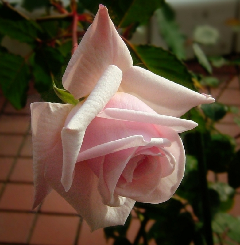 f:id:jam-014:20111216022759j:image