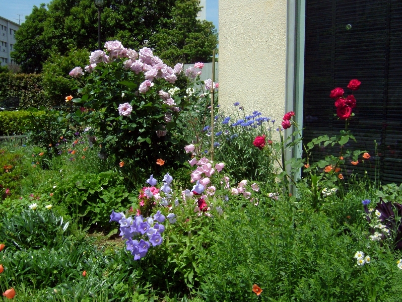 f:id:jam-014:20120525101209j:image