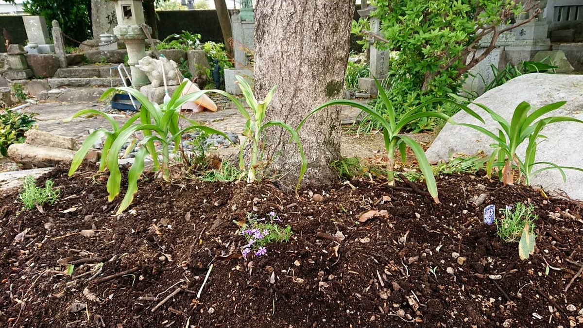 f:id:jam226:20190424120332j:plain