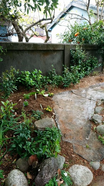 f:id:jam226:20190426034832j:image
