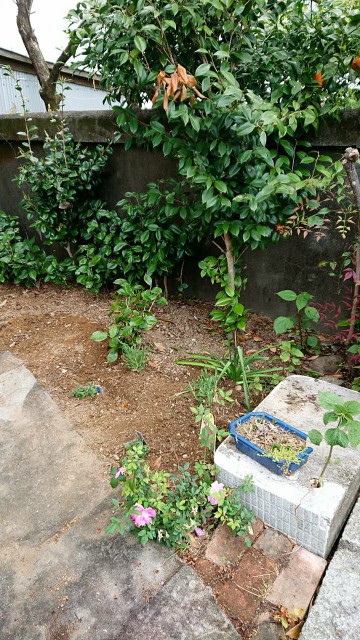 f:id:jam226:20190426035434j:image