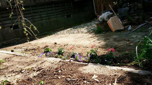 f:id:jam226:20190426055157j:image