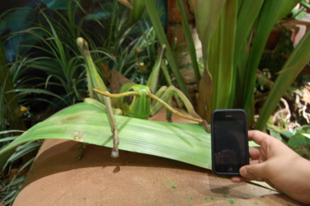 f:id:jamais_vu:20100716164743j:image:w300