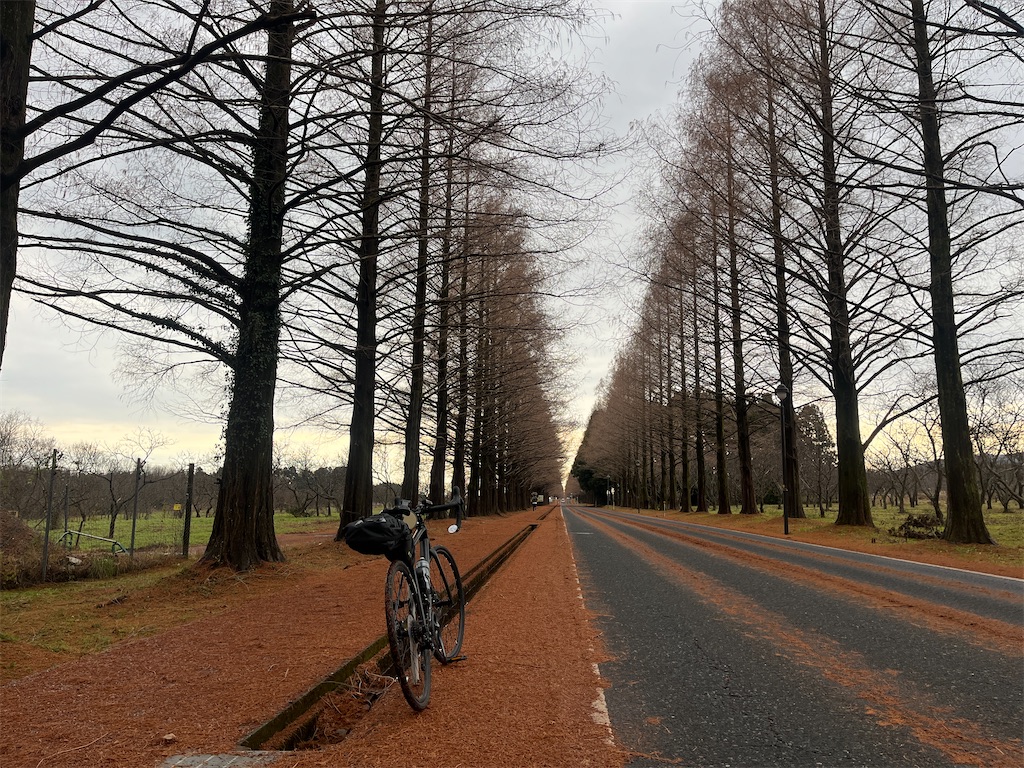 f:id:james-takahashi:20250105215026j:image f:id:james-takahashi:20250105215026j:image