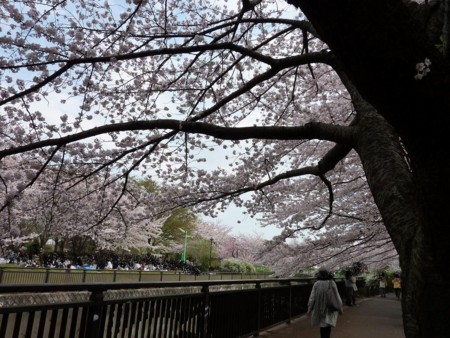 f:id:jamesjiyu:20110410190216j:image